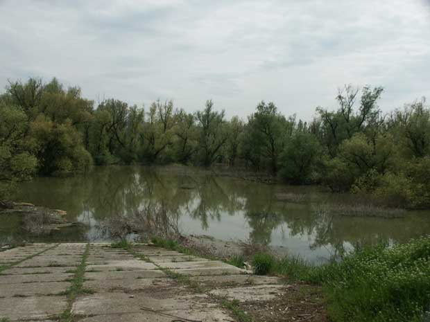 pancevacki-nasip